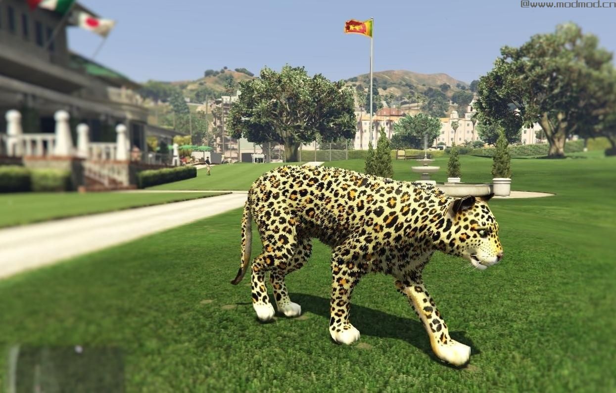 侠盗猎车手5「GTA5」Mod: Leopard Skin