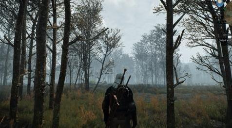 巫师3：狂猎MOD 身临其境的视角