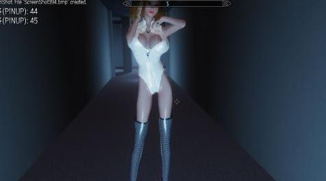 上古卷轴5：天际MOD 【天际少女】DF_T18_B 性感的爆乳皮衣 CBBE Body HOT 动态化