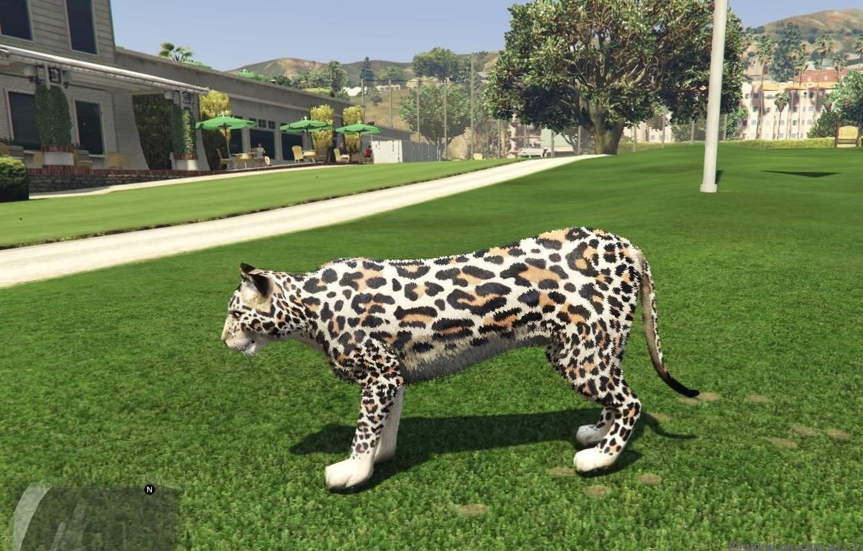 侠盗猎车手5「GTA5」Mod: Leopard Skin