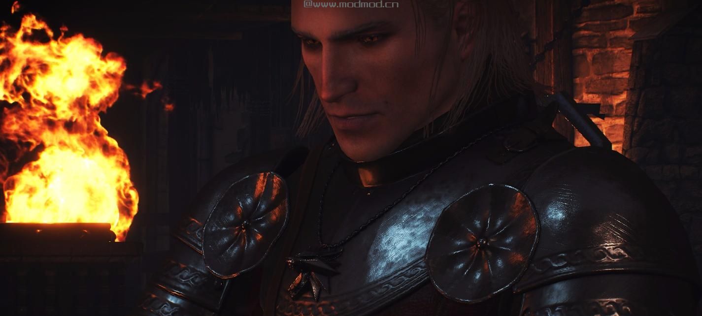 巫师3：狂猎MOD 年轻Geralt面部纹理
