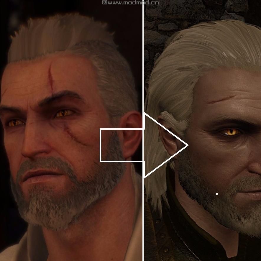 巫师3：狂猎MOD Geralt电影发型