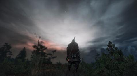 巫师3：狂猎MOD Wild Hunt ReShaded（画面颜色调整）