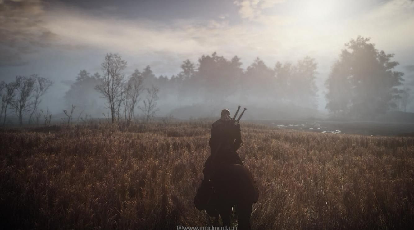 巫师3：狂猎MOD 巫师III - V5.1C Mod集合