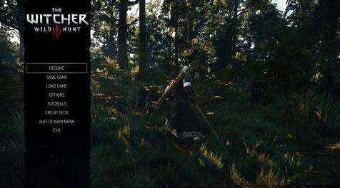 巫师3：狂猎MOD 超级写实主义-FX材质