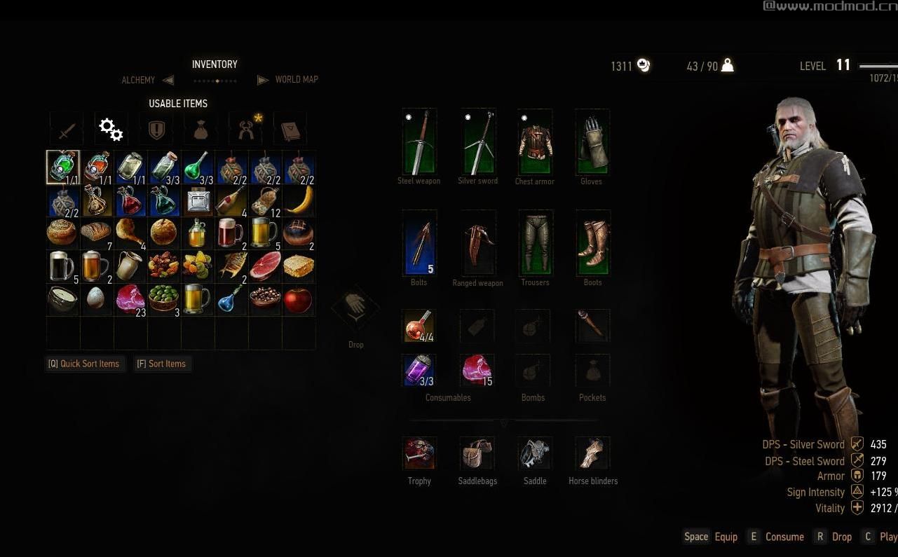 巫师3：狂猎MOD 11级post-Velen故事情存档