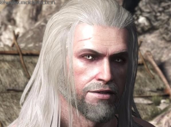 巫师3：狂猎MOD Geralts鼻子改建