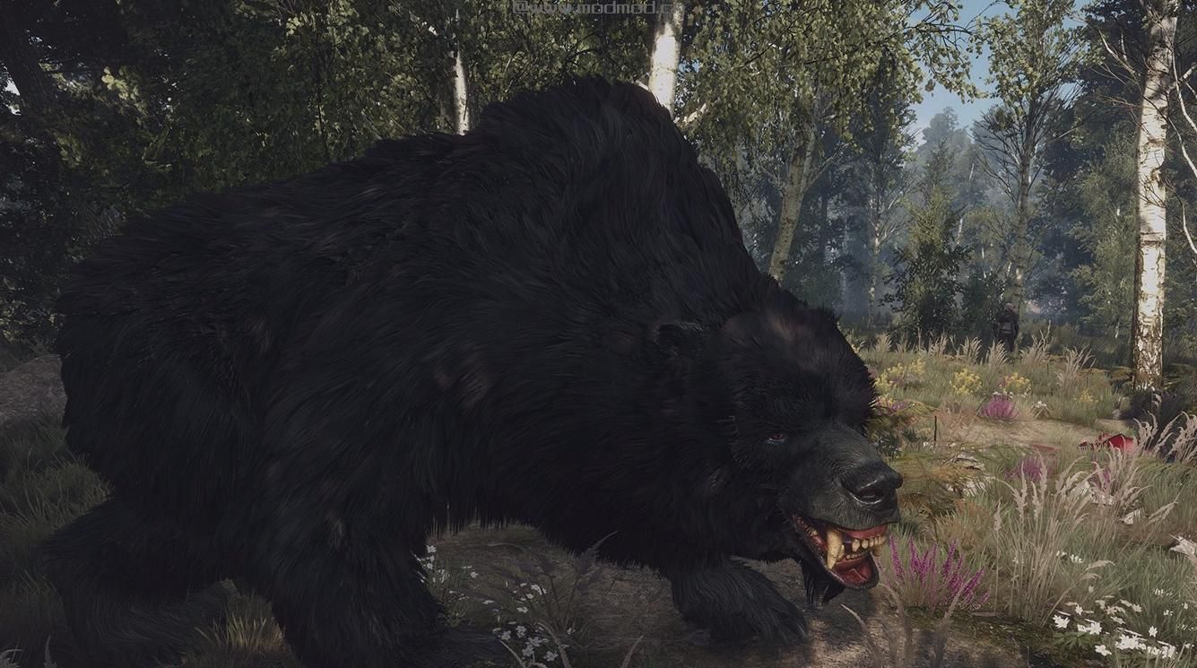巫师3：狂猎MOD 游戏画面颜色饱和度和对比度
