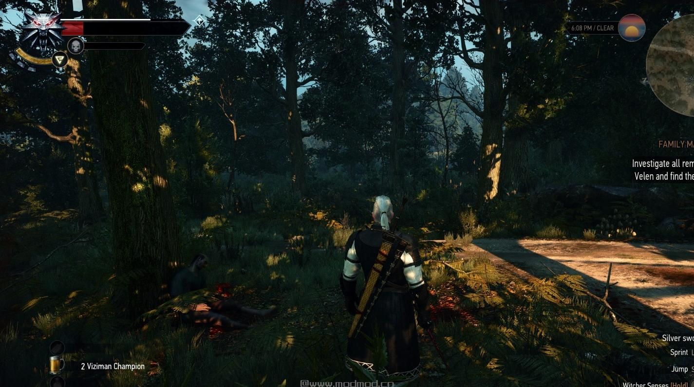 巫师3：狂猎MOD 超级写实主义-FX材质