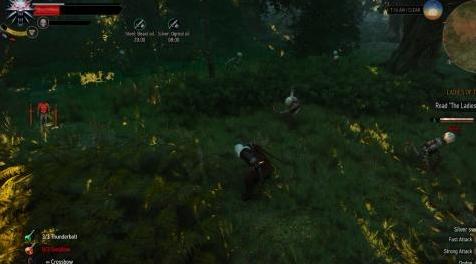 巫师3：狂猎MOD 战斗预设