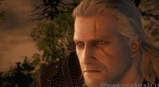 巫师3：狂猎MOD 杰洛特更细致的面部纹理