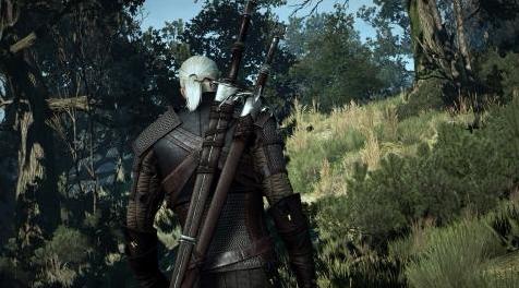 巫师3：狂猎MOD 巫师3 VGX武器