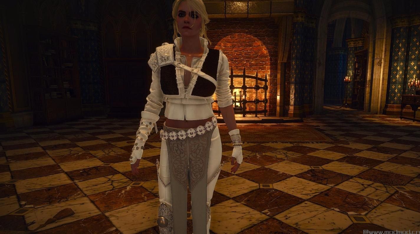 巫师3：狂猎MOD 希里和叶奈法服装上色