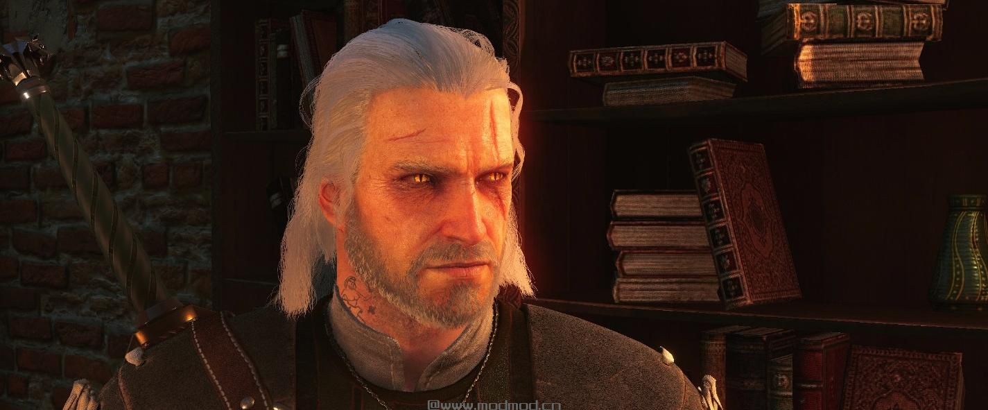巫师3：狂猎MOD 残酷的面容Mod (Lore-Friendly)