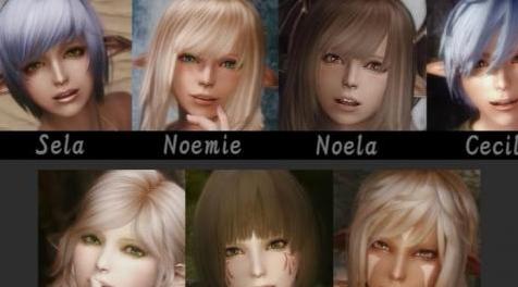 上古卷轴5：天际MOD  N网热门随从姐妹花组团（全程独立日语配音）