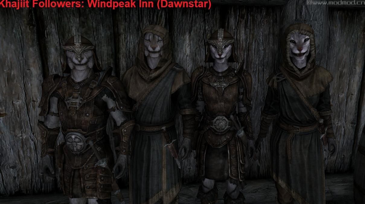 Alternate Followers