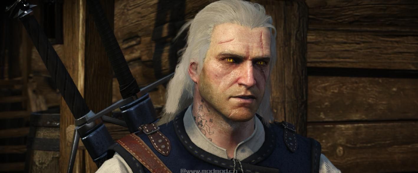 巫师3：狂猎MOD 残酷的面容Mod (Lore-Friendly)