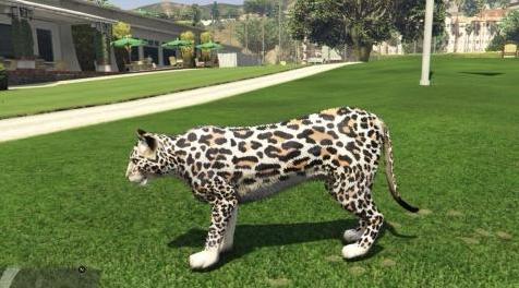 侠盗猎车手5「GTA5」Mod: Leopard Skin