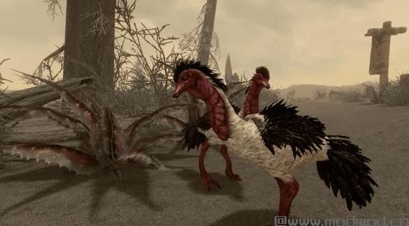 上古卷轴5：重置版MOD 高地鸵鸟MOD