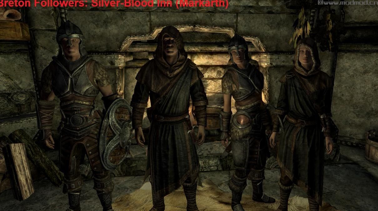 上古卷轴5：重置版MOD Alternate Followers