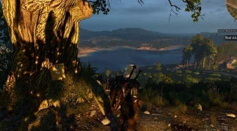 巫师3：狂猎MOD 53级开始游戏