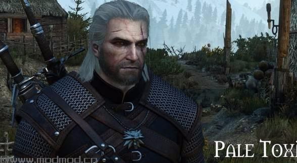 巫师3：狂猎MOD 苍白的脸Geralt