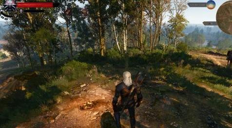 巫师3：狂猎MOD 巫师3基本需求