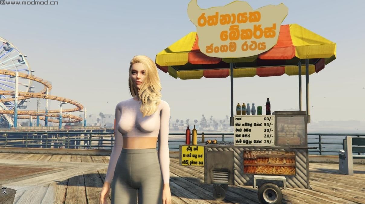 侠盗猎车手5「GTA5」Mod: Sri ankan Shops - 2