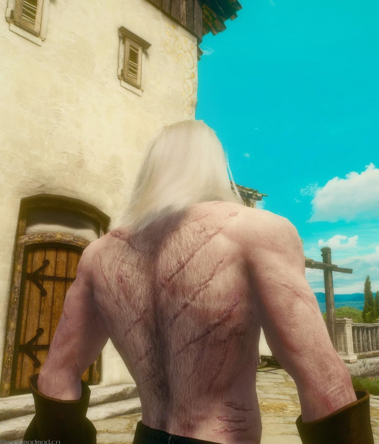 巫师3：狂猎MOD Geralt体毛