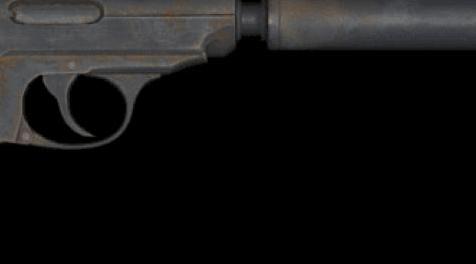 辐射4MOD Deliverer NPC Sound Fix 修复NPC使用Deliverer的枪声