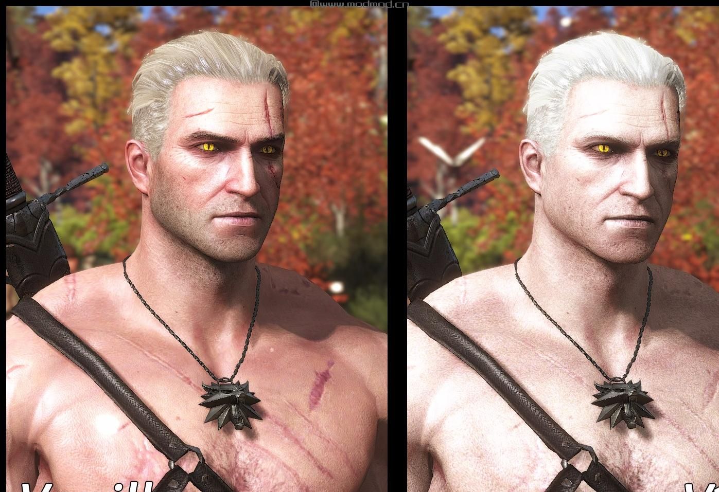 巫师3：狂猎MOD 白狼--非发型作品版