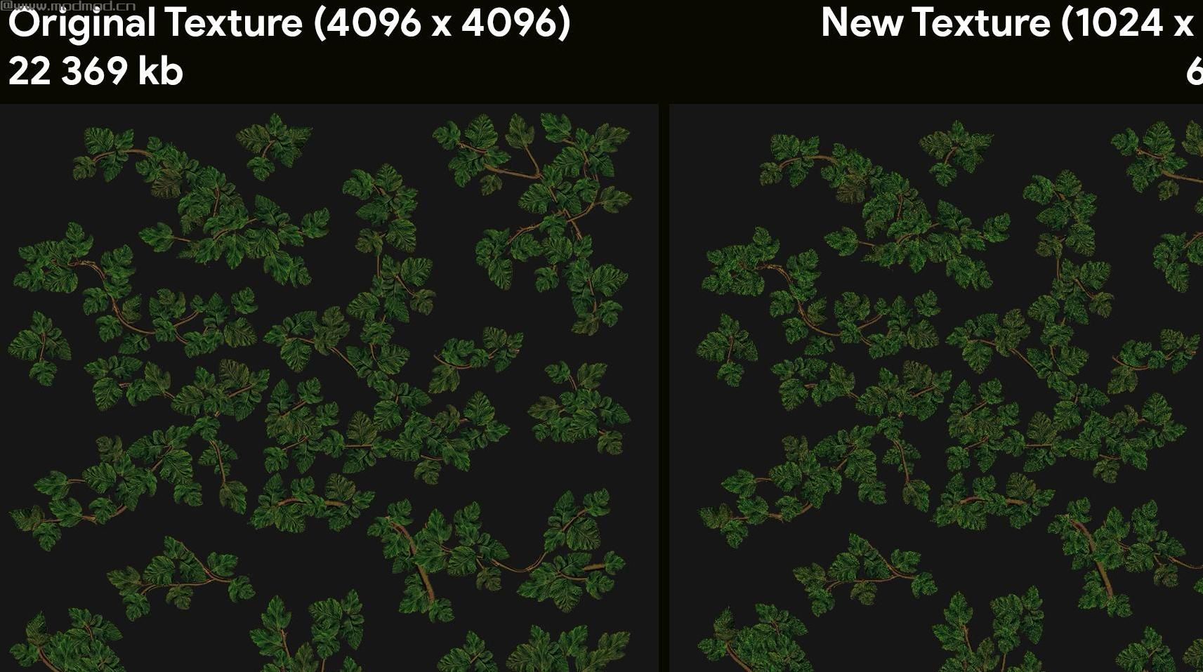上古卷轴5：重置版MOD Skyrim Flora大修 - 表现纹理