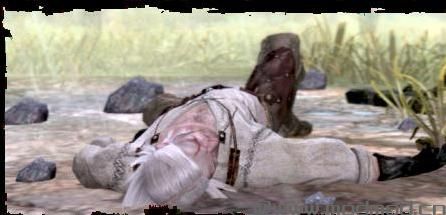 巫师3：狂猎MOD 残酷的脸--更新