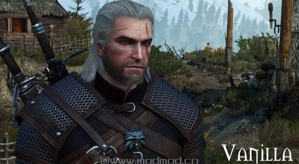 巫师3：狂猎MOD 苍白的脸Geralt