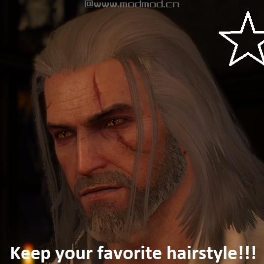 巫师3：狂猎MOD Geralt电影发型
