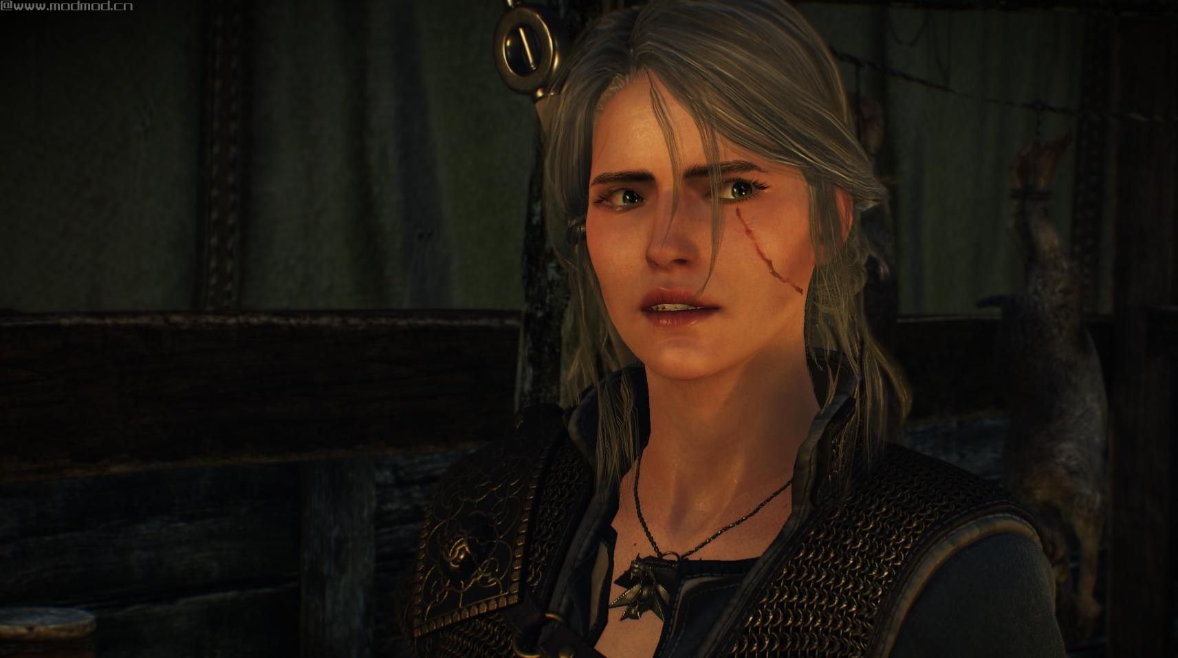巫师3：狂猎MOD 重新处理希里面部的疤痕和雀斑