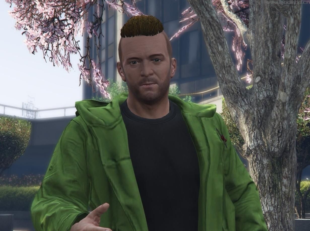 侠盗猎车手5「GTA5」Mod: Open Online Parka For Pr0trikk Improved Michael