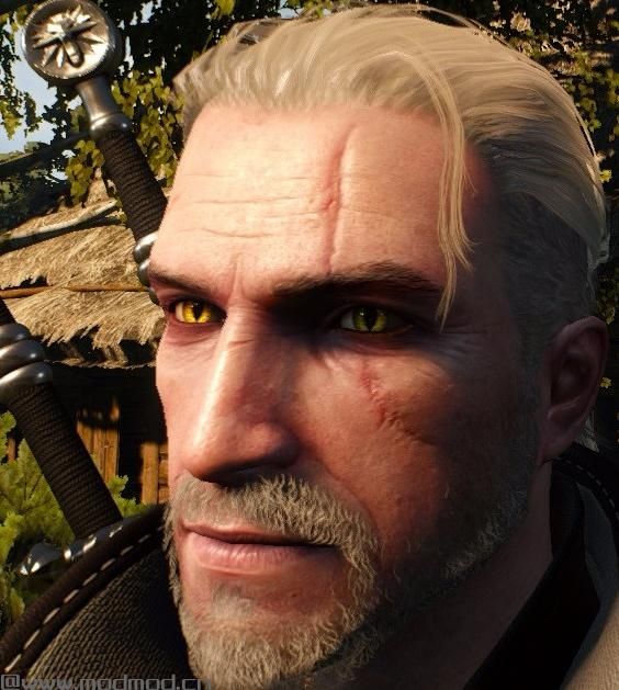 巫师3：狂猎MOD Geralt——减轻脸上的伤疤