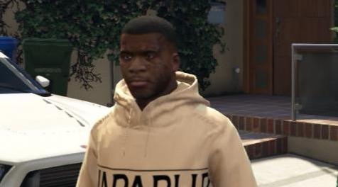 侠盗猎车手5「GTA5」Mod: Napapijri beige hoodie