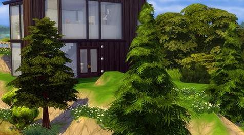 模拟人生4MOD Little Mountain dream 房子