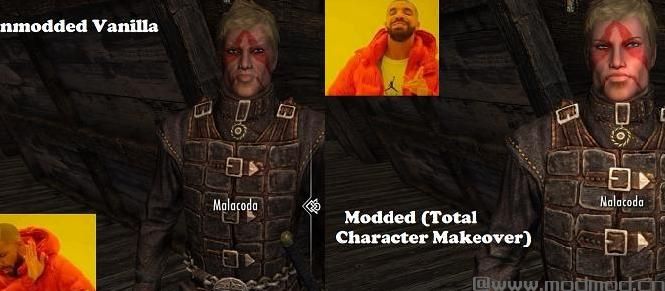 上古卷轴5：重置版MOD Malacoda Follower SE RDO和Standalone
