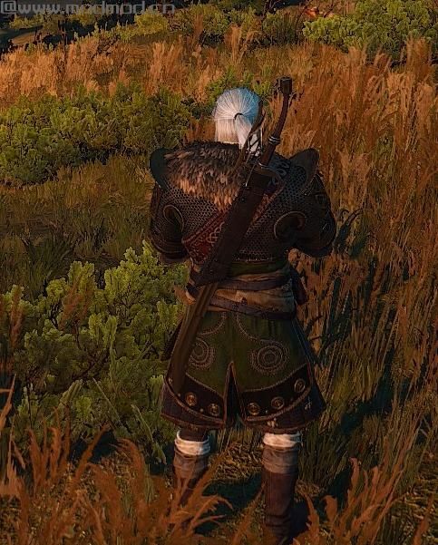 巫师3：狂猎MOD 1.31巫师--新的独特的武器