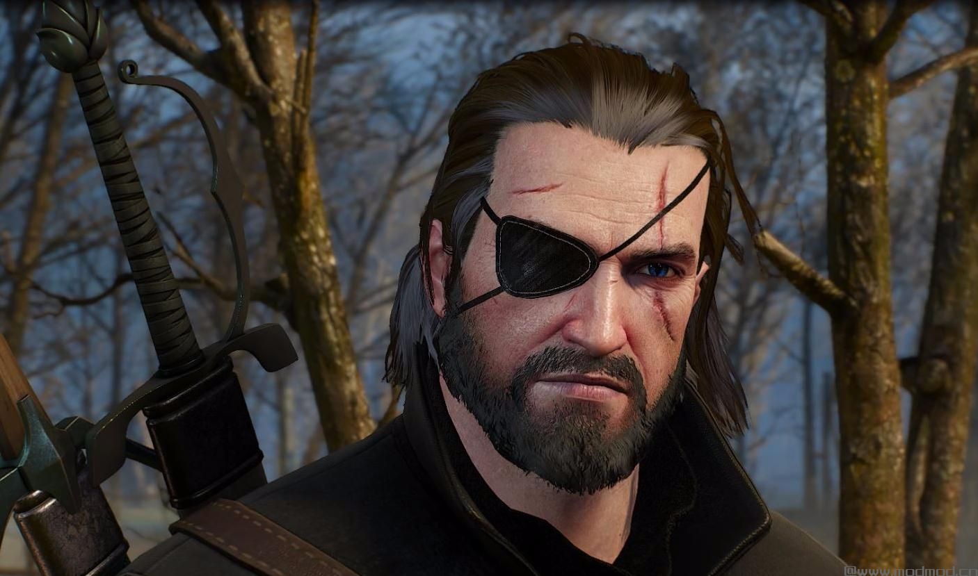 巫师3：狂猎MOD 蛇叔的眼罩