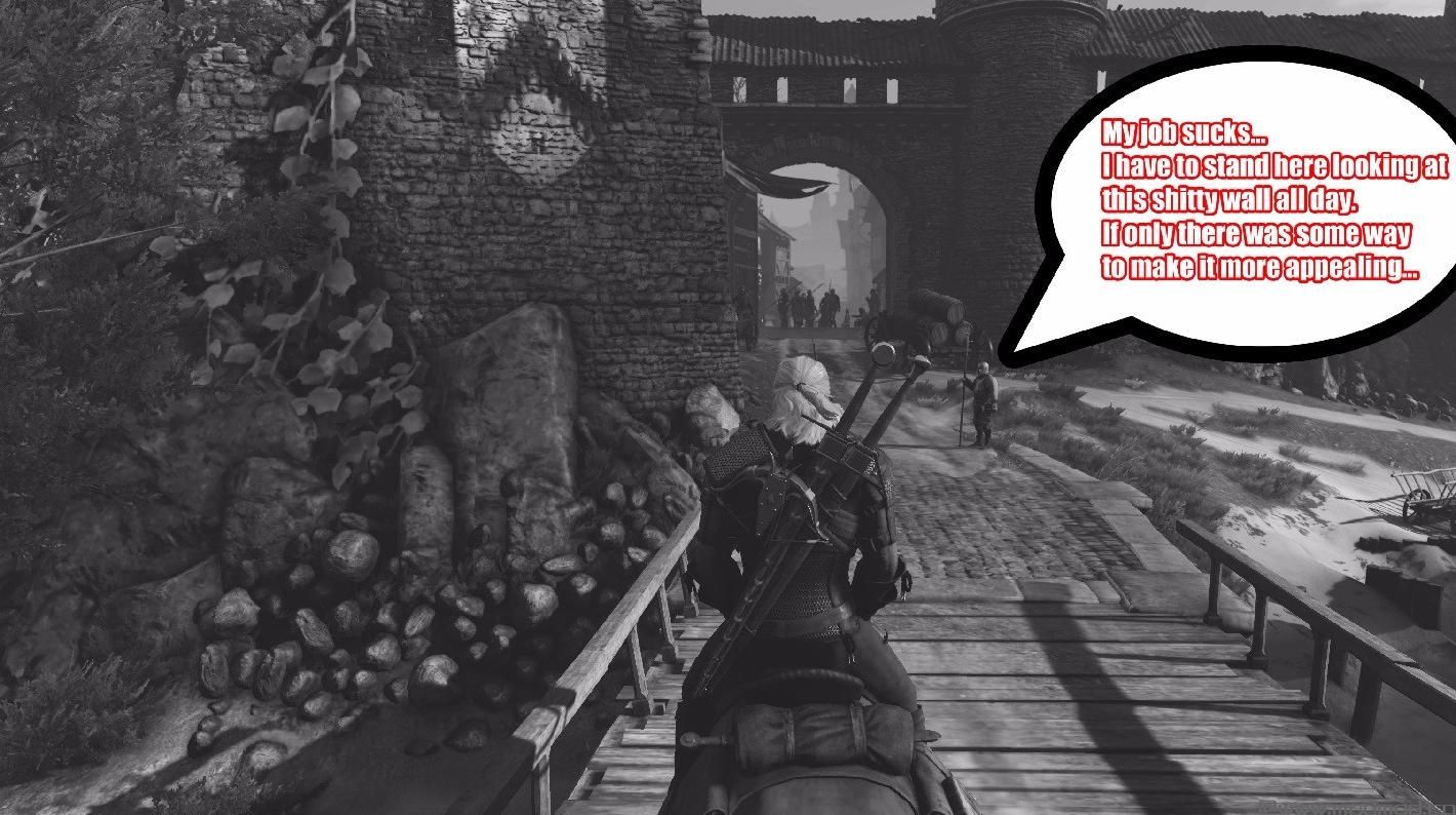 巫师3：狂猎MOD E3墙面