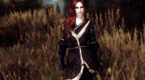 上古卷轴5：重置版MOD Gilded Doublet SE