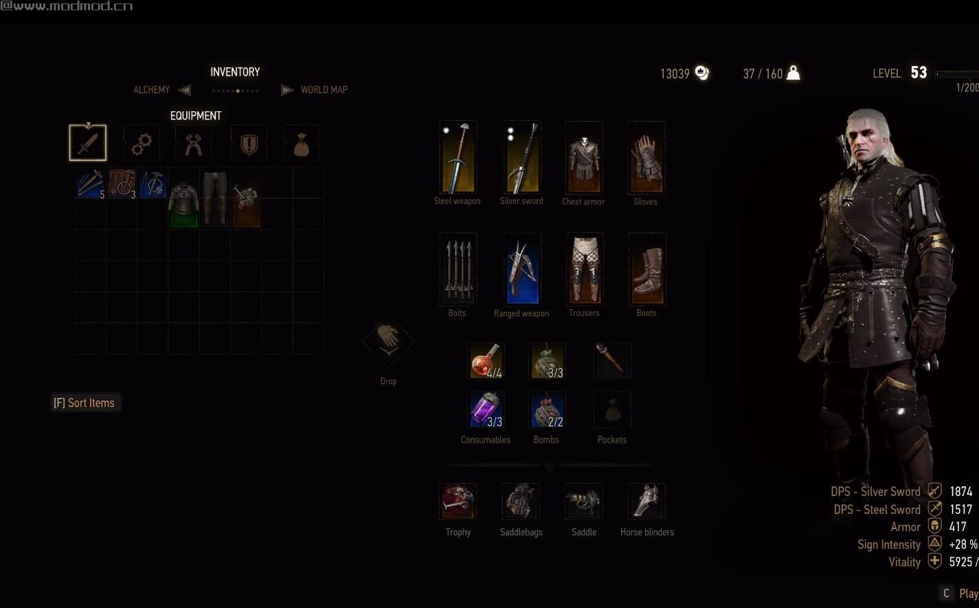 巫师3：狂猎MOD 53级开始游戏