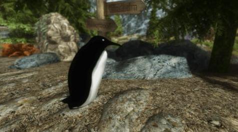 上古卷轴5：天际MOD 温斯顿企鹅随从&野生企鹅