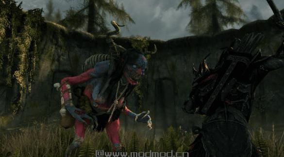 上古卷轴5：重置版MOD 沼泽巫婆MOD