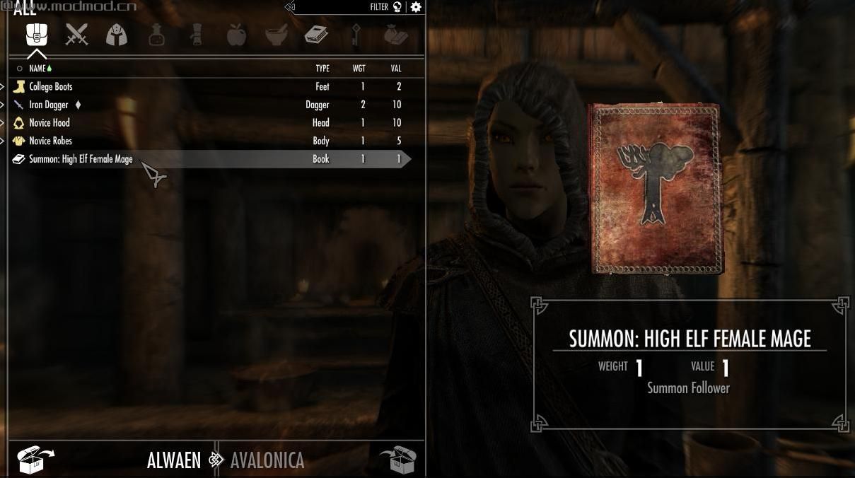 上古卷轴5：重置版MOD Alternate Followers