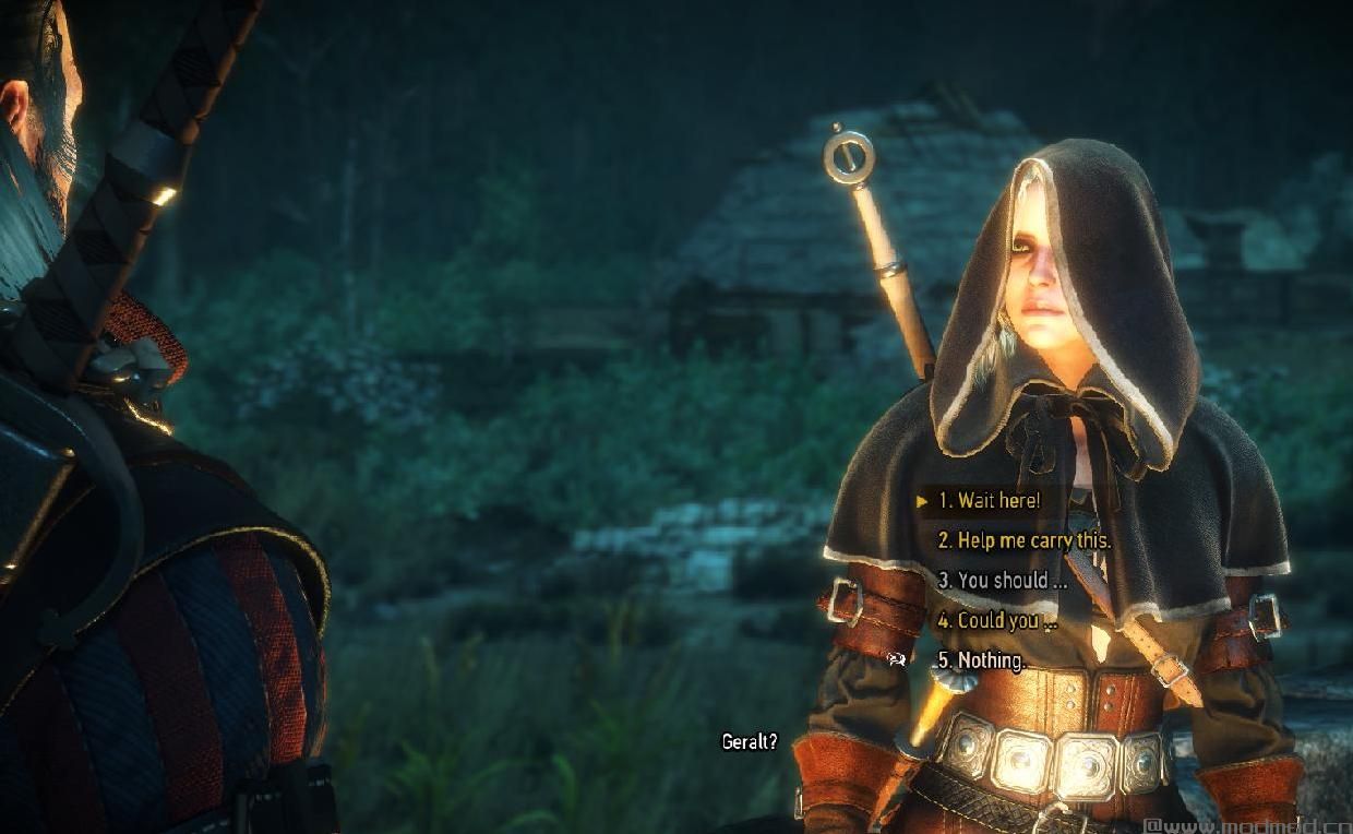 巫师3：狂猎MOD 伙伴系统